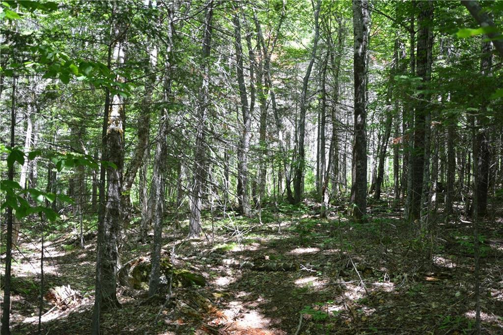 478 Kelly Road Wytopitlock, ME 04497 - Photo 11 of 18 Photo
