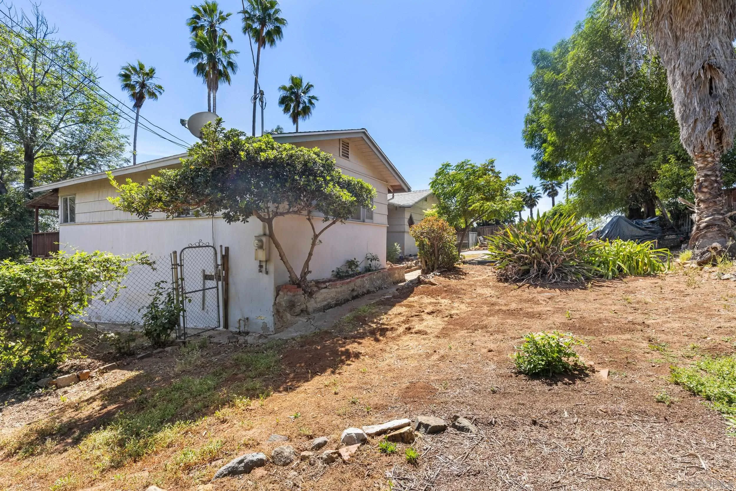 9361 Hollyhock Lane Spring Valley, CA 91977 - Photo 24 of 31 a plant that is in front of a yard