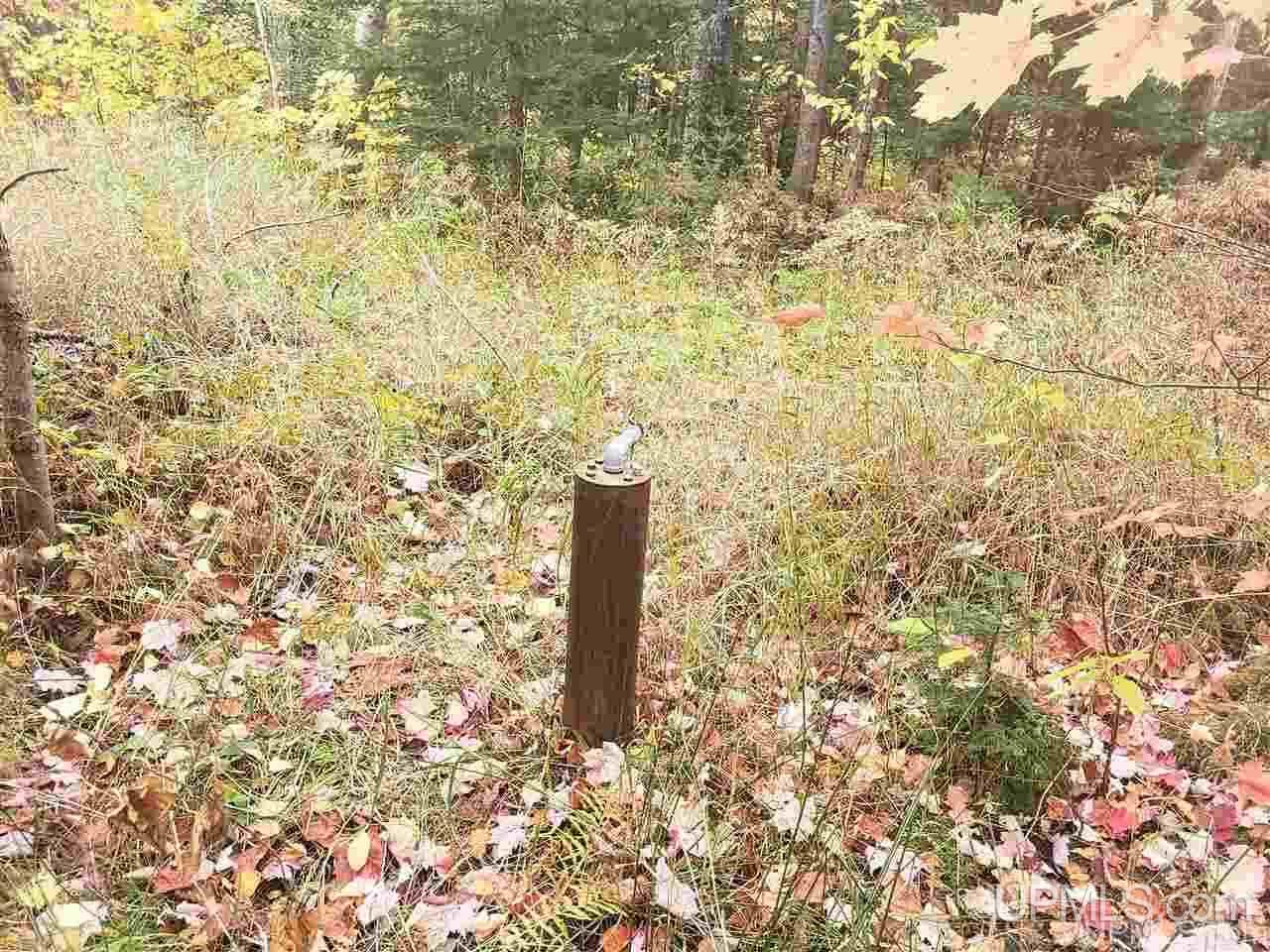 Tbd Gay Lac La Belle Road Lake Linden, MI 49950 - Photo 8 of 9