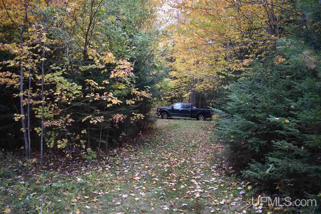 9-acres Deerton Road Deerton, MI 49822 - Photo 11 of 37 Gallery Image 11