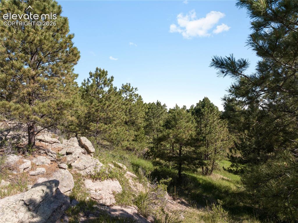 18673 Elbert Road Elbert, CO 80106 - Photo 5 of 29