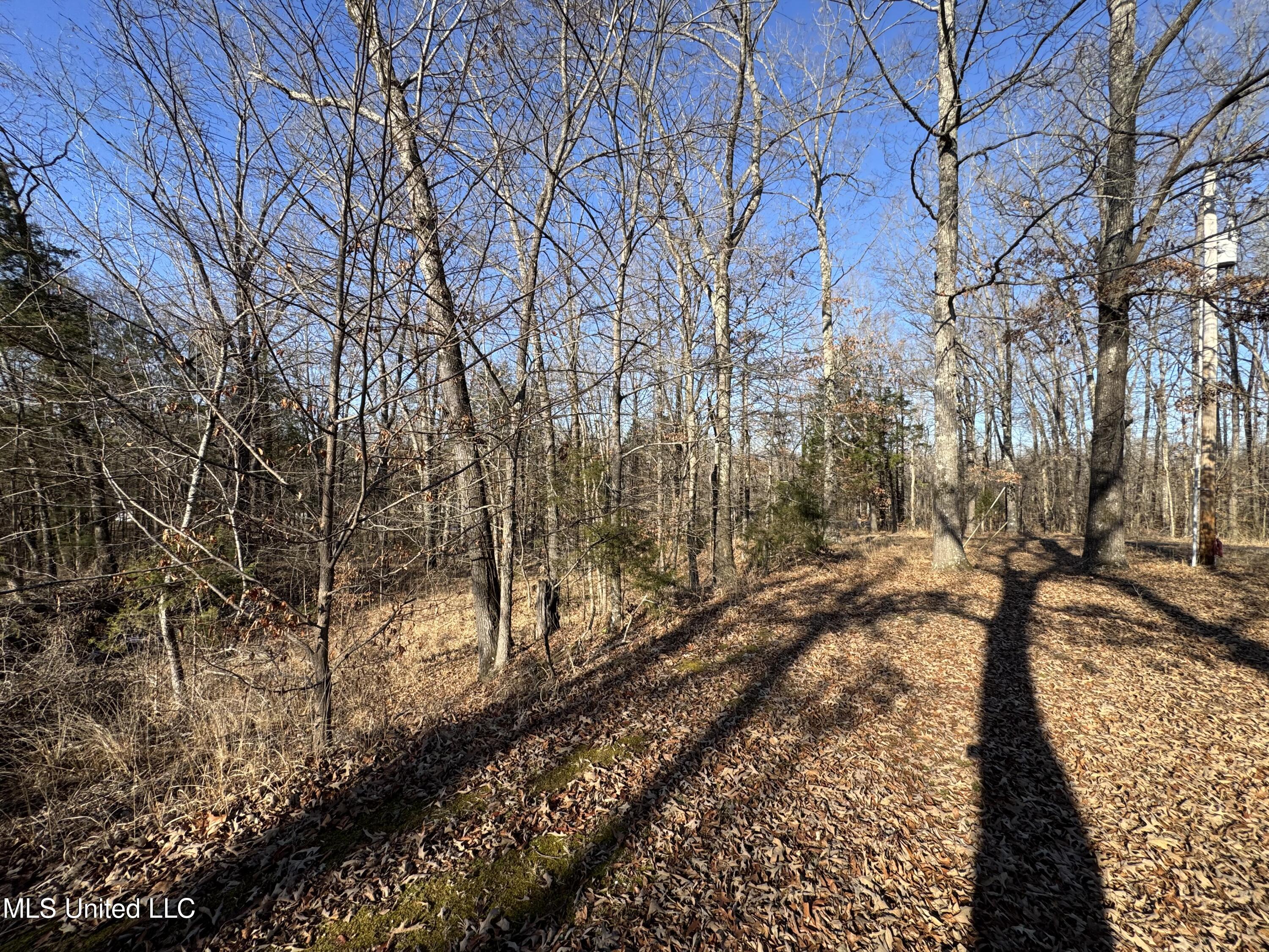 778 Steele Road Hernando, MS 38632 - Photo 5 of 16 IMG_4549