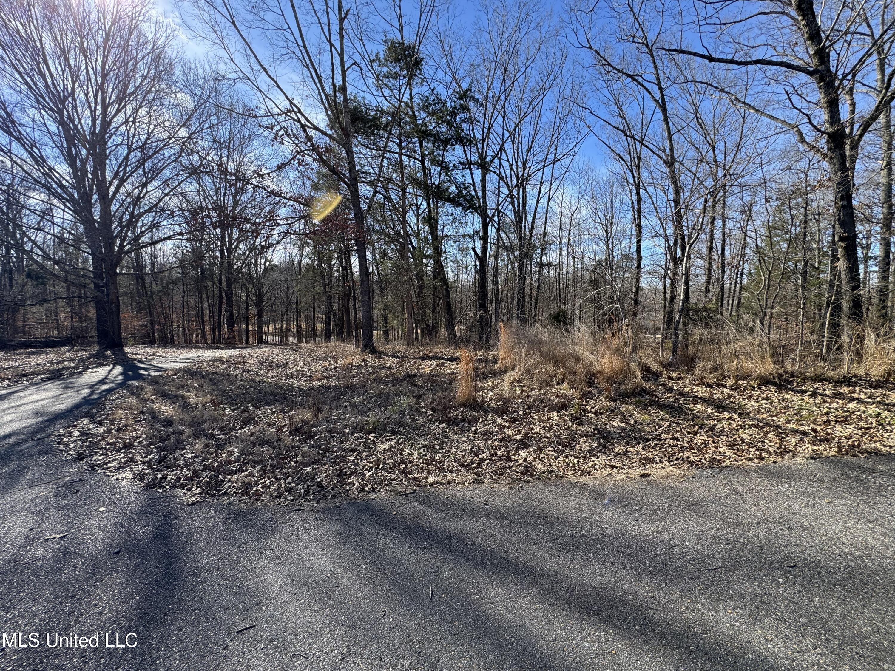 778 Steele Road Hernando, MS 38632 - Photo 7 of 16 IMG_4634
