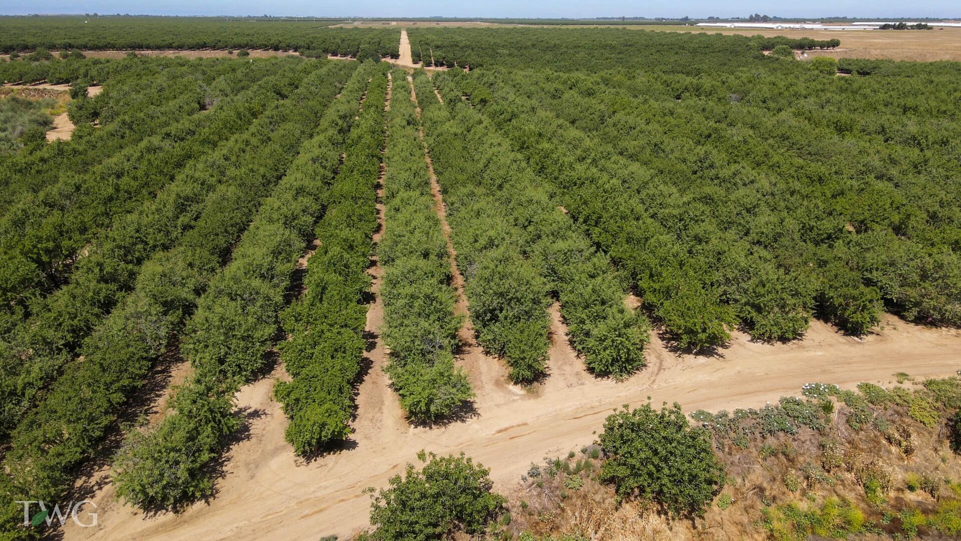 26 Rd Chowchilla Ca Madera, CA 93638 - Photo 10 of 14