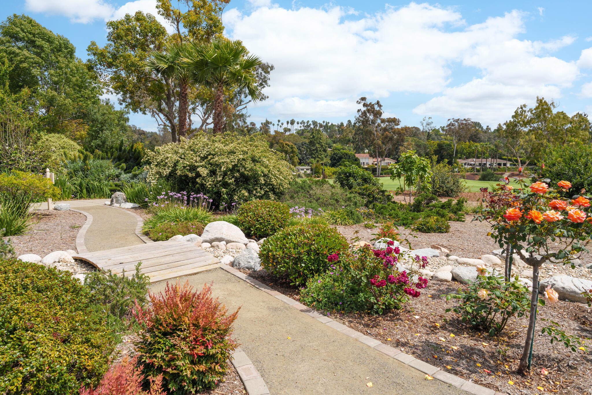 6443 Mimulus Rancho Santa Fe, CA 92067 - Photo 12 of 49 A7R04673-Web