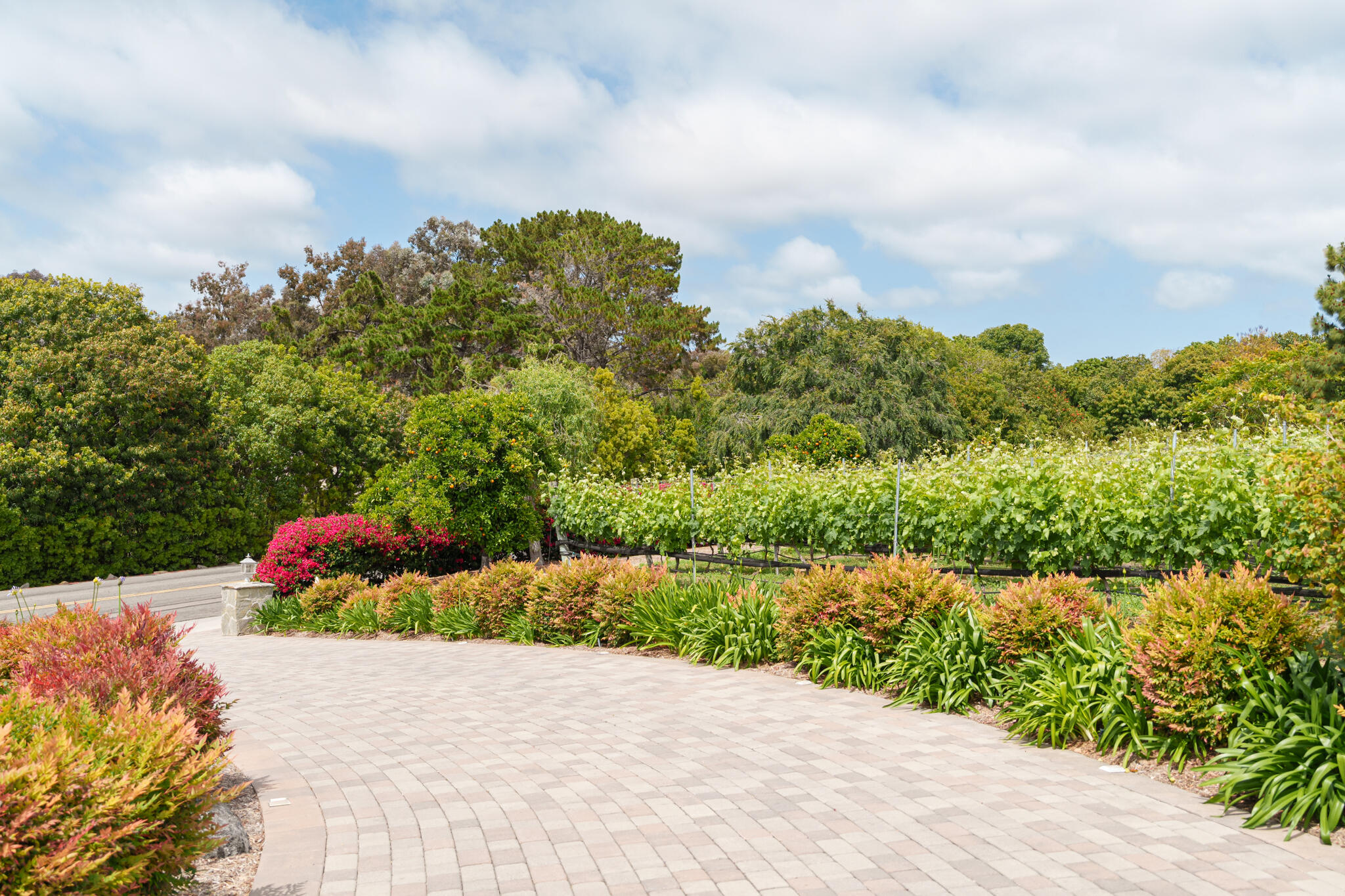6443 Mimulus Rancho Santa Fe, CA 92067 - Photo 47 of 49 A7R04735-Web