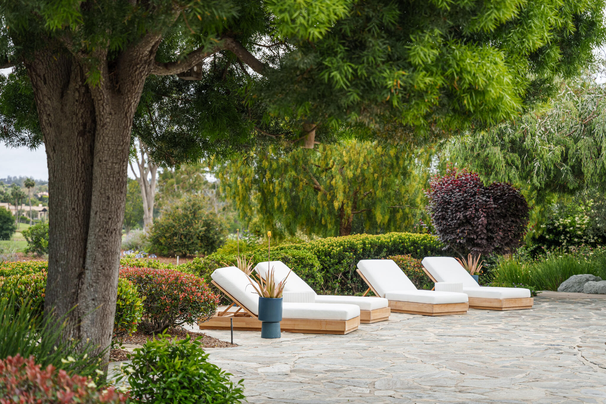 6443 Mimulus Rancho Santa Fe, CA 92067 - Photo 8 of 49 A7R04591-Web
