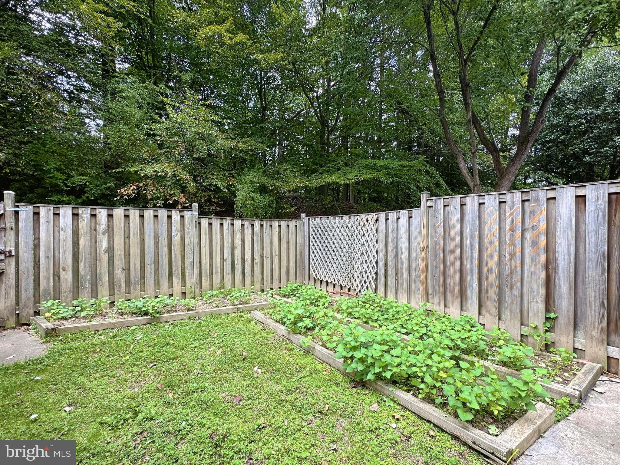 6260 Rathlin Drive Springfield, VA 22152 - Photo 26 of 27 a view of a yard with wooden fence
