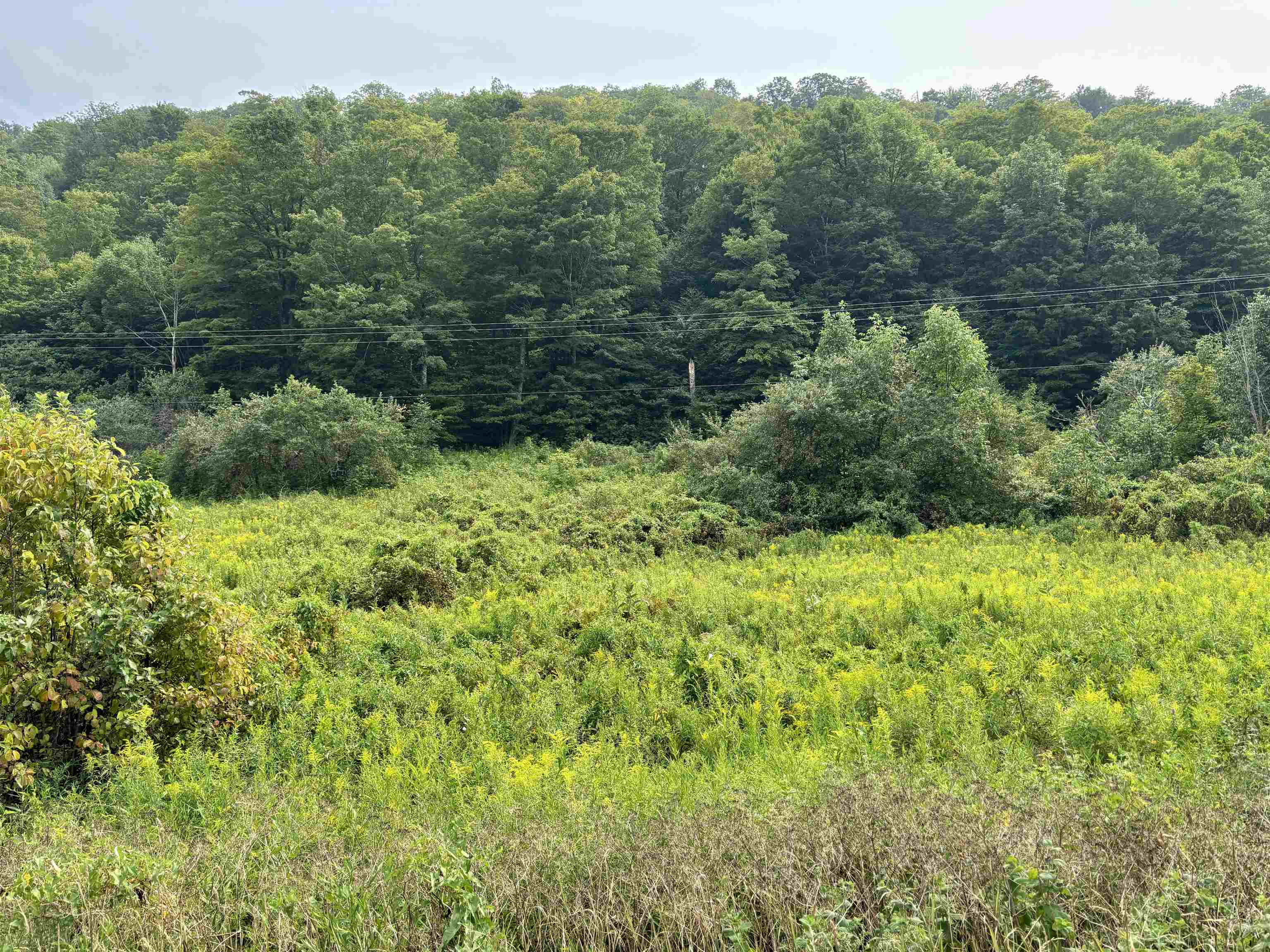 4948 Underpass Road Sutton, VT 05867 - Photo 24 of 27