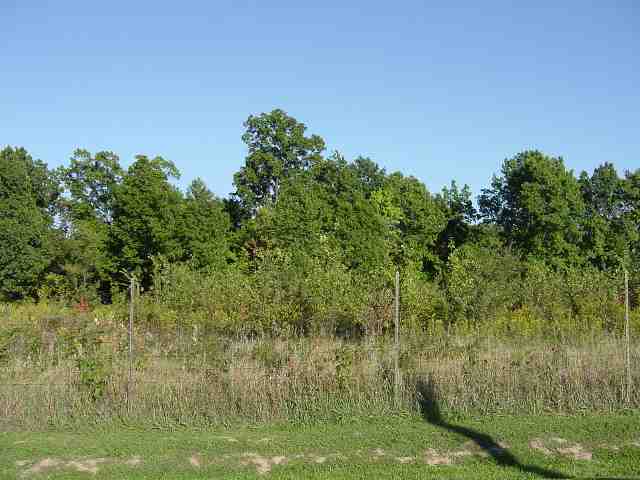 Lot 2 Coon Creek Road Metamora, IL 61548 - Photo 1 of 2