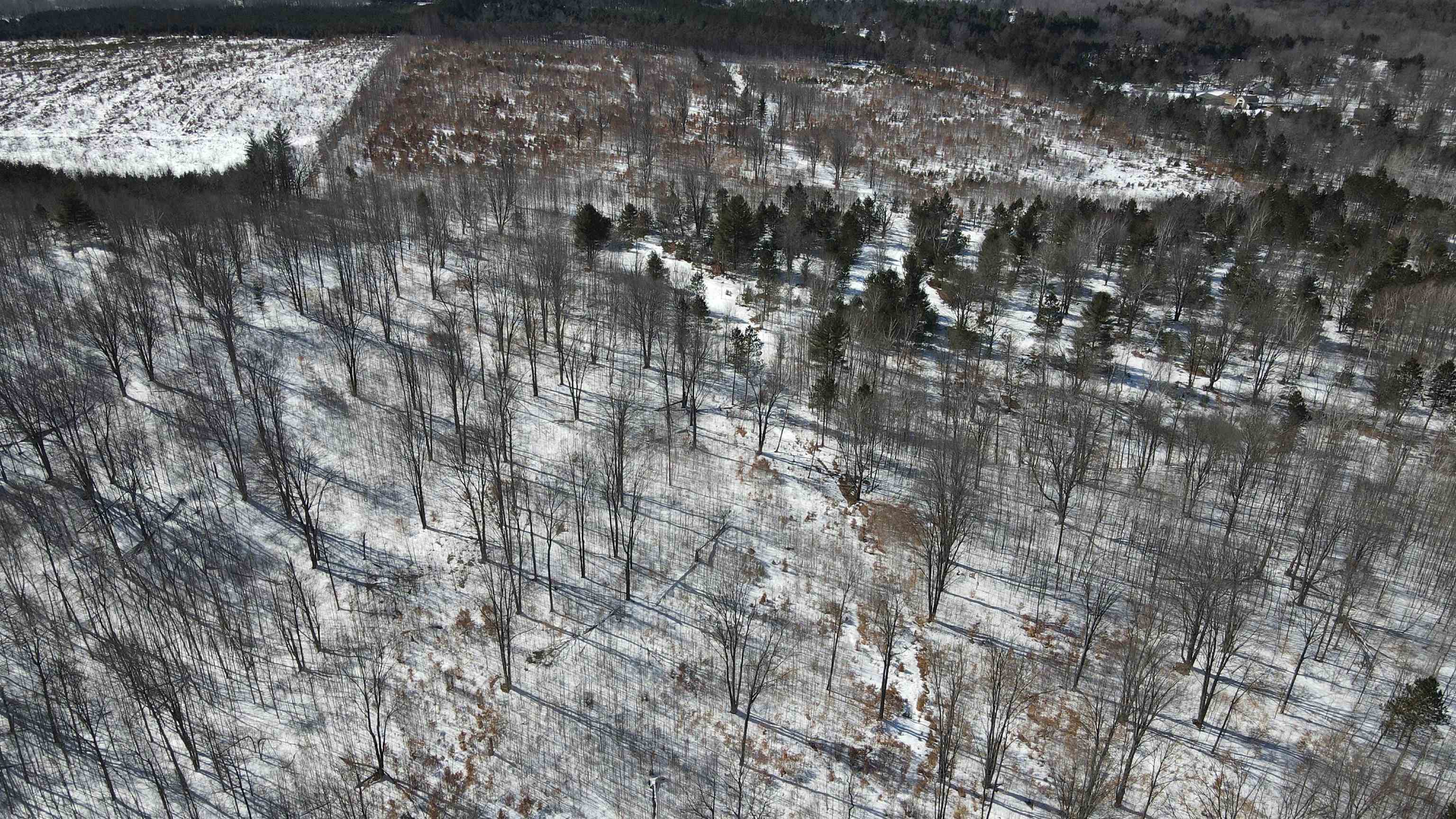 Southeast Campbell Road Southeast Kalkaska, MI 49646 - Photo 16 of 23