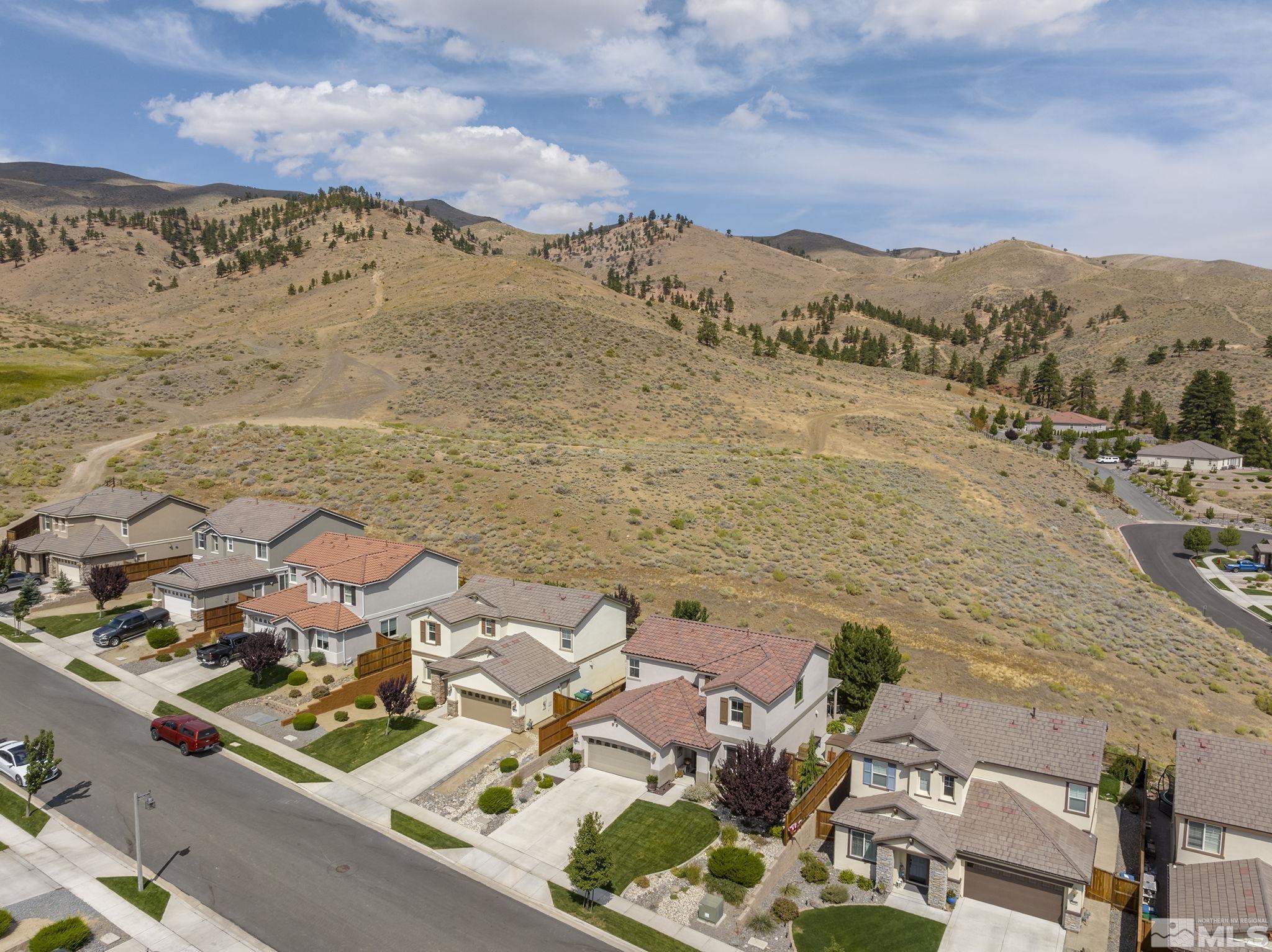 2820 Peavine Creek Road Reno, NV 89523 - Photo 4 of 39 Photo 4
