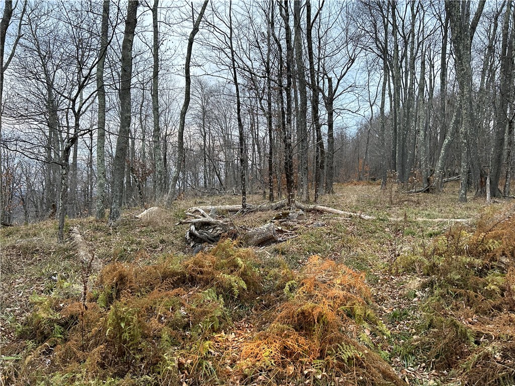 Upper Punchbowl Road Roscoe, NY 12776 - Photo 3 of 41