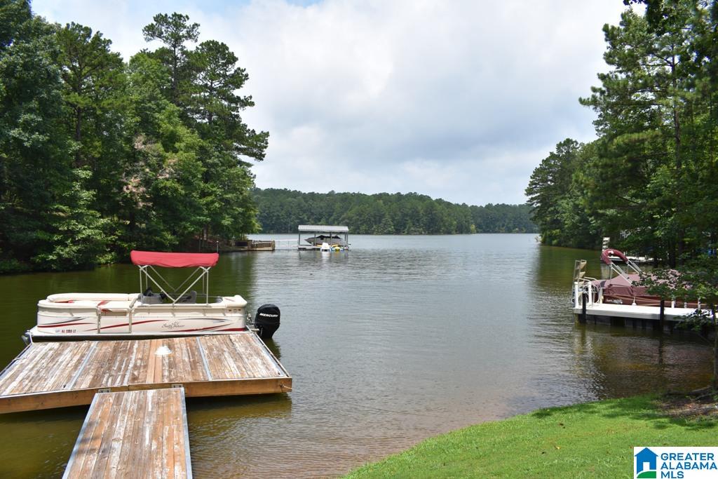 711 48 West Road Lineville, AL 36266 - Photo 3 of 19