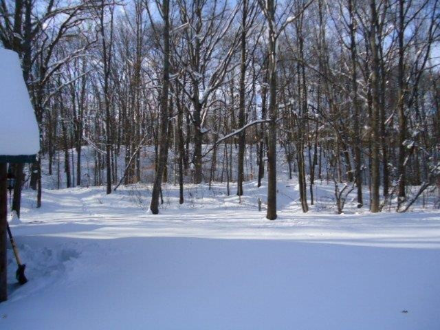 5770 South 144th Avenue Rothbury, MI 49452 - Photo 13 of 15 5770 144th 008