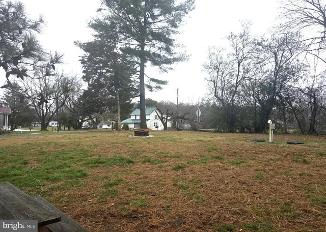 a view of outdoor space with trees
