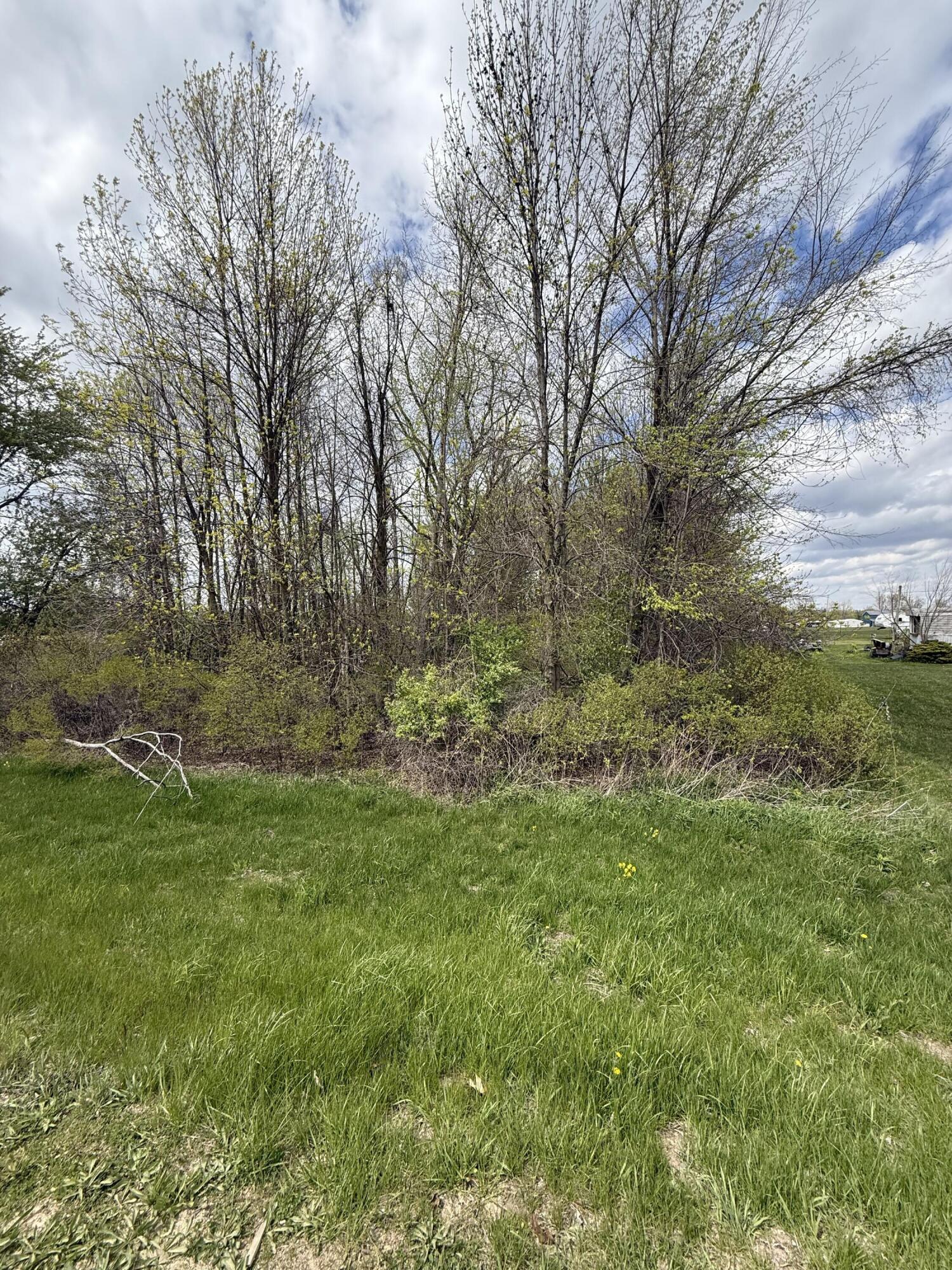 8235 East Sidney Road Crystal, MI 48818 - Photo 3 of 14 beyc6a04cb359a68a