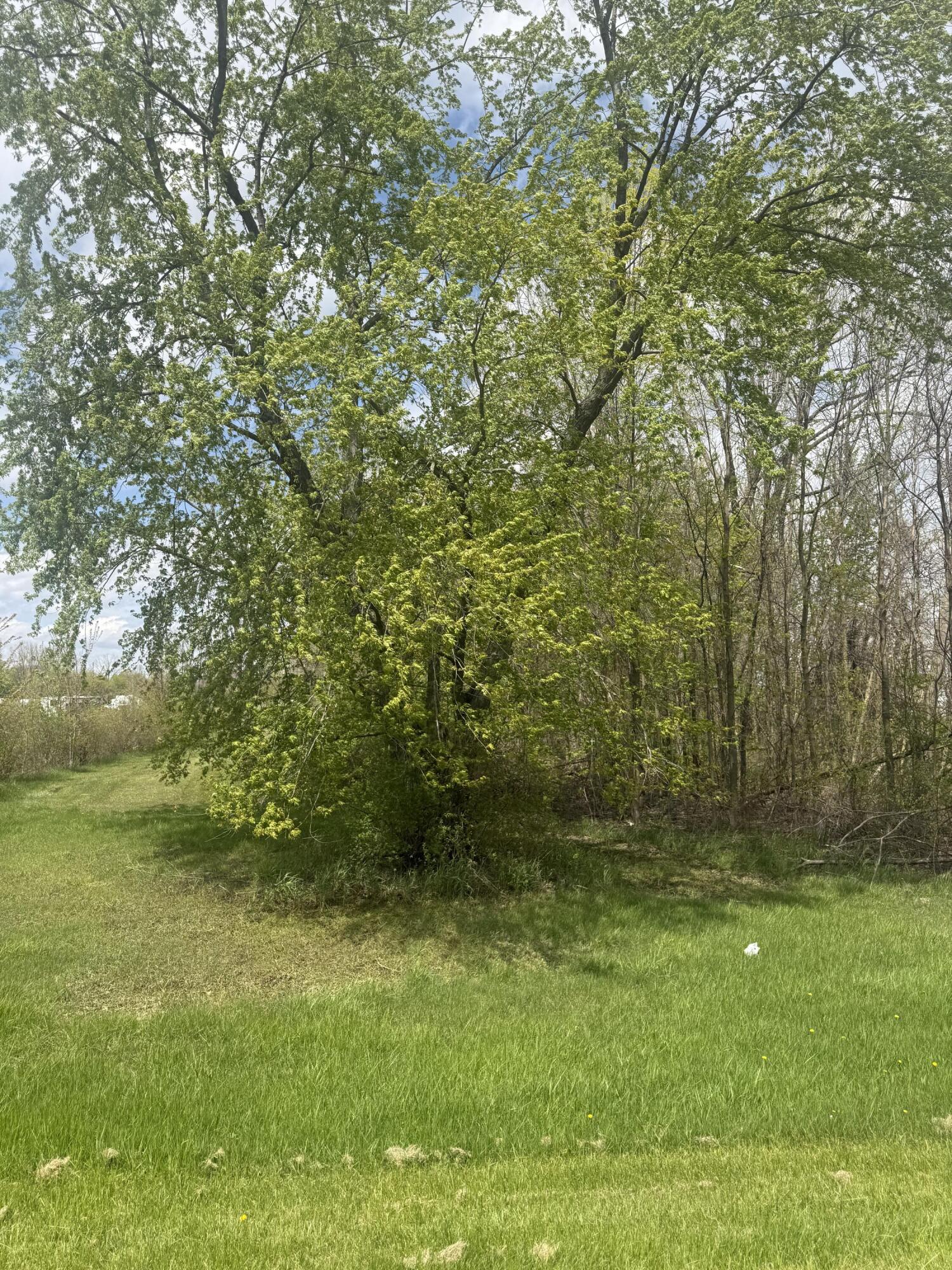 8235 East Sidney Road Crystal, MI 48818 - Photo 5 of 14 beyc6a04cb4836254