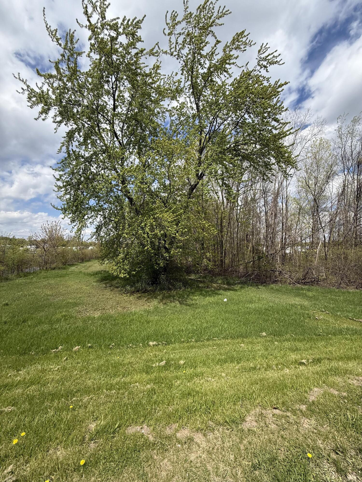8235 East Sidney Road Crystal, MI 48818 - Photo 6 of 14 beyc6a04cb4da823e