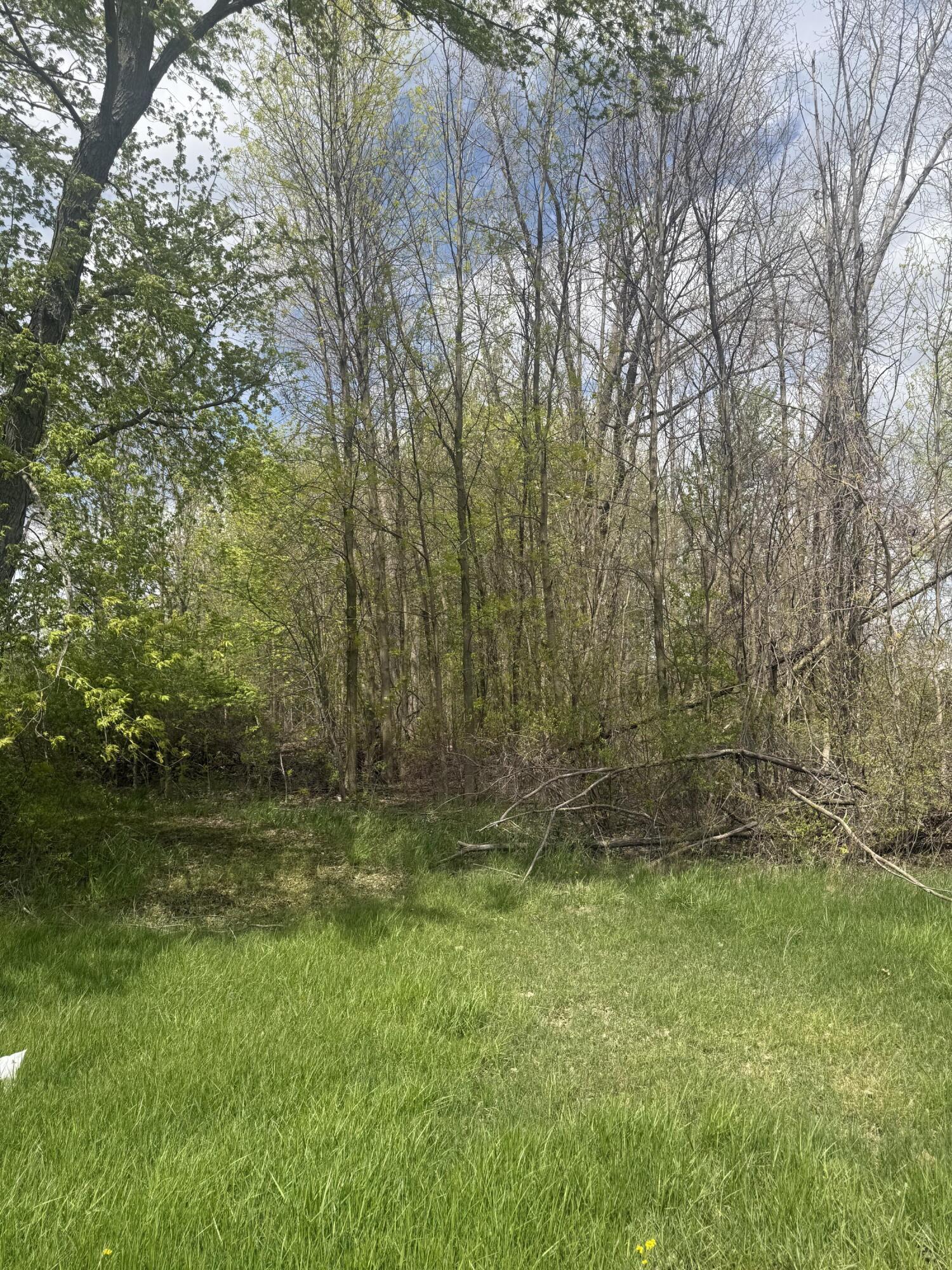 8235 East Sidney Road Crystal, MI 48818 - Photo 9 of 14 beyc6a04cb64c60ac