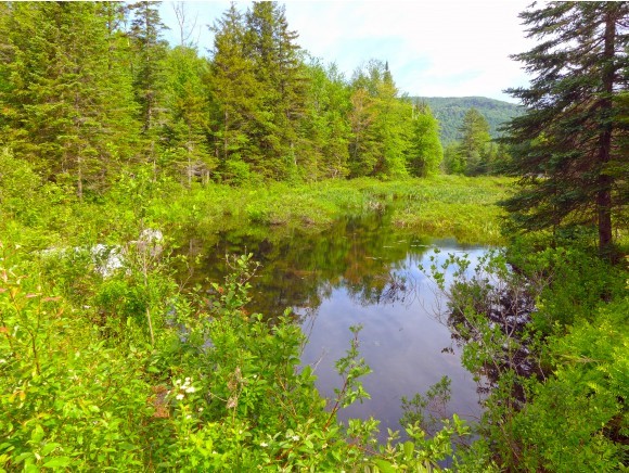 232 Bailey Bridge Road Woodbury, VT 05681 - Photo 11 of 18 Gallery Image 11
