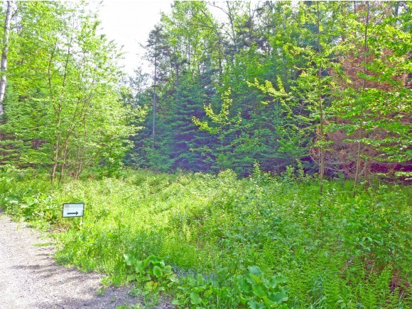 232 Bailey Bridge Road Woodbury, VT 05681 - Photo 8 of 18 Gallery Image 8