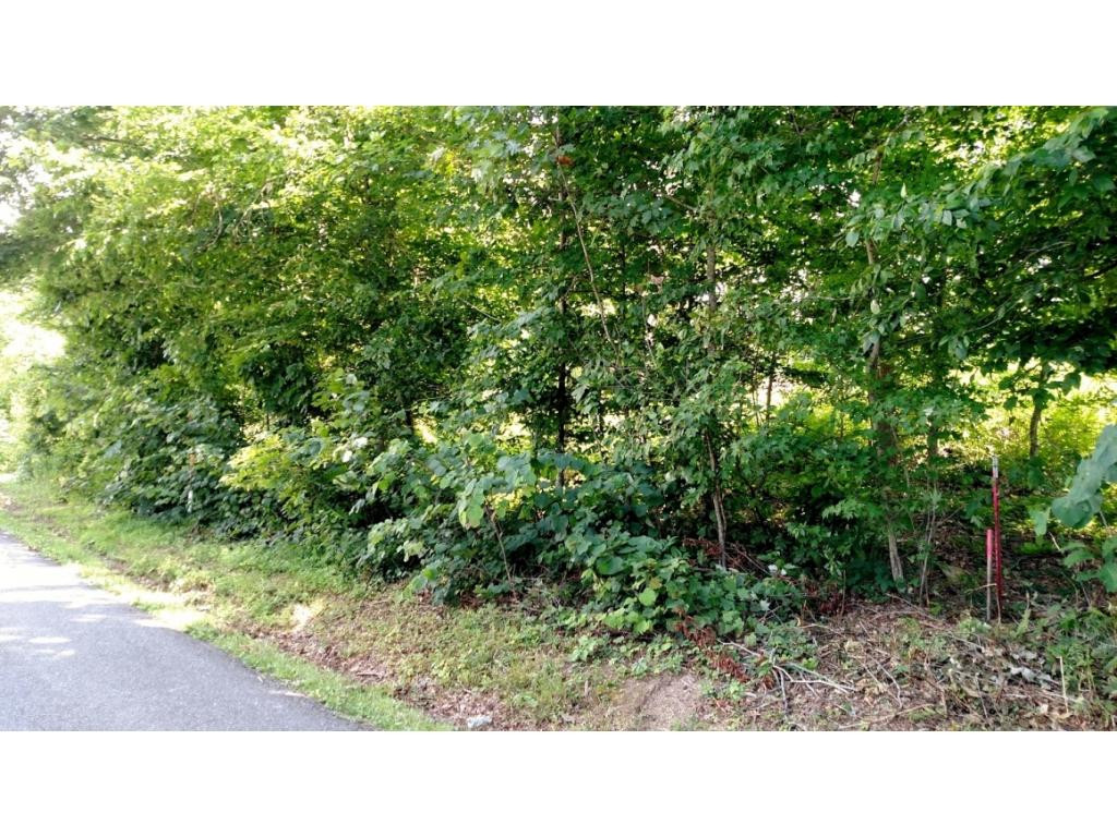 Tbd Kincheloe Road, Unit 6 Fall Branch, TN 37656 - Photo 1 of 1 Photo 1