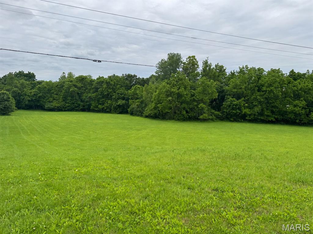 3 Hannah Rdg Trail Elsberry, MO 63343 - Photo 5 of 6