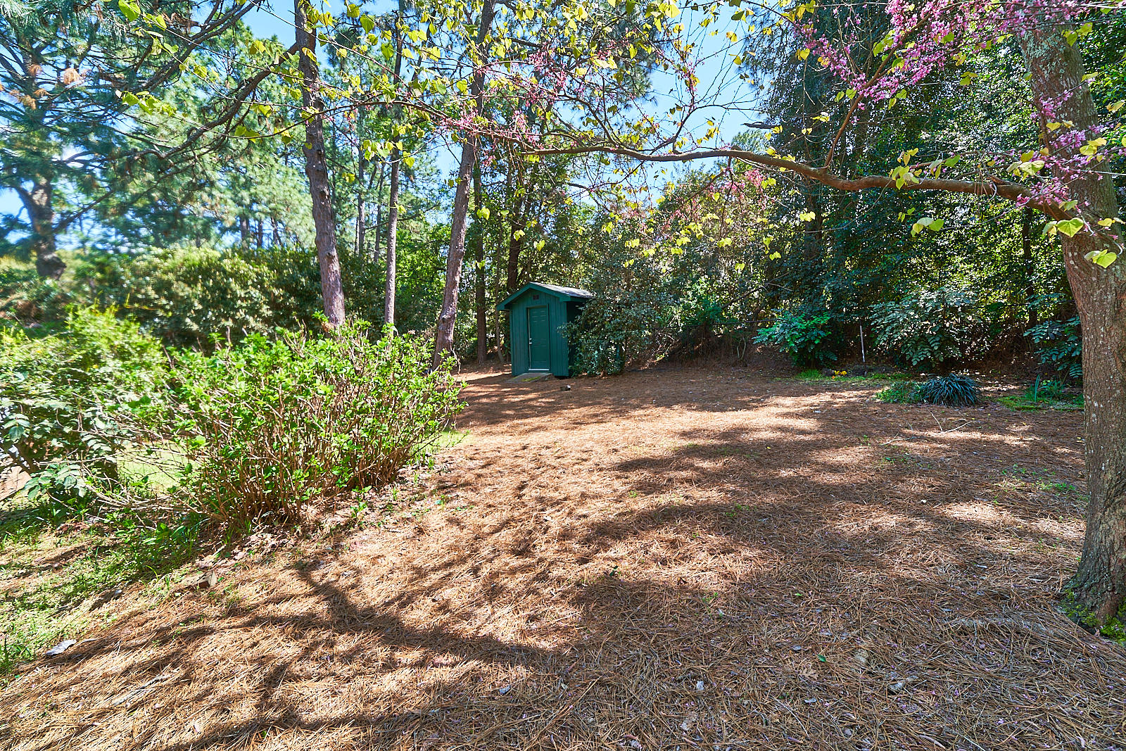 325 South Valley Road Southern Pines, NC 28387 - Photo 12 of 49 325 S Valley Rd., SP45
