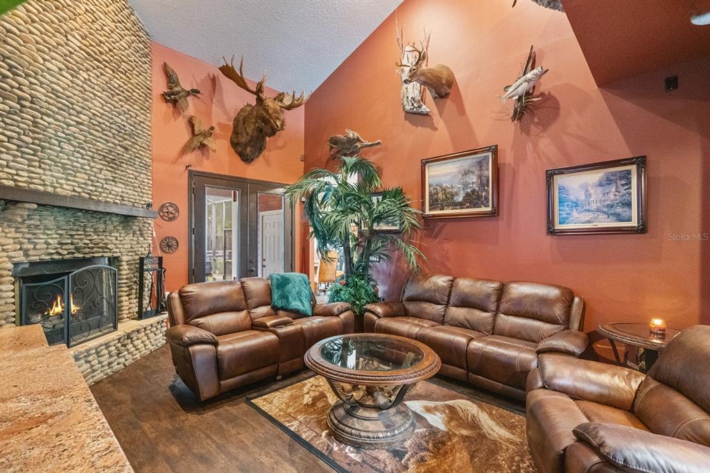 280 Campbell Ranch Run Geneva, FL 32732 - Photo 15 of 83 a living room with furniture a fireplace and a potted plant