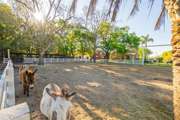 $7,700,000 | 280 Campbell Ranch Run, Geneva, FL 32732