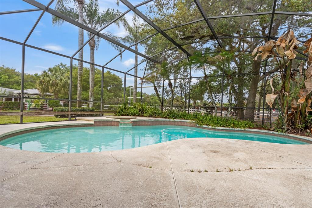 280 Campbell Ranch Run Geneva, FL 32732 - Photo 6 of 18 a view of yard with swimming pool and green space