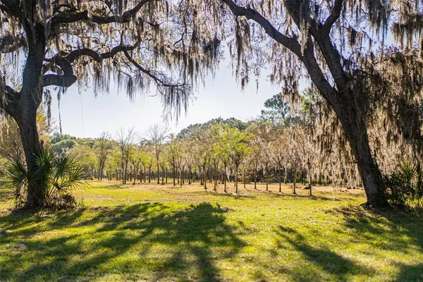 $7,700,000 | 280 Campbell Ranch Run, Geneva, FL 32732