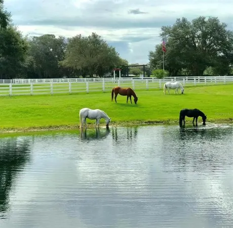 $7,700,000 | 280 Campbell Ranch Run, Geneva, FL 32732