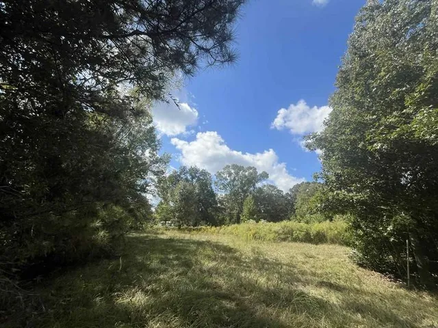 $34,900 | 96 Borland Road, Deville, LA 71328