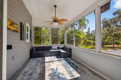 a view of a yard with plants and trees