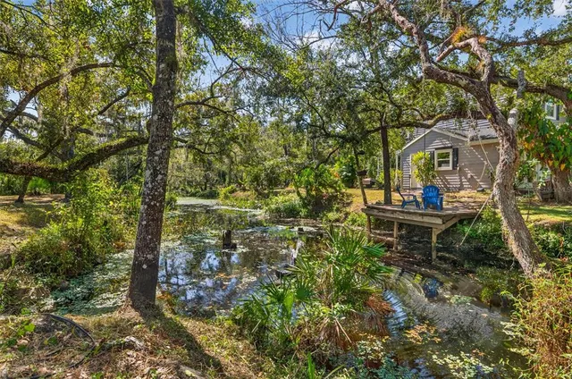 a view of a yard with large trees