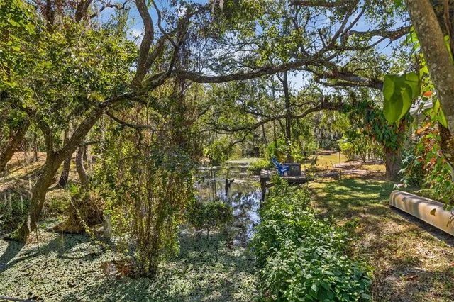 a backyard of a house with lots of green space