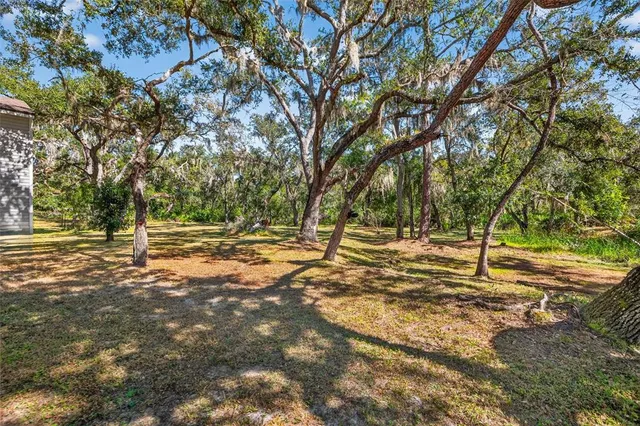 a view of a chair and table in backyard