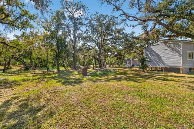 a view of a lush green field