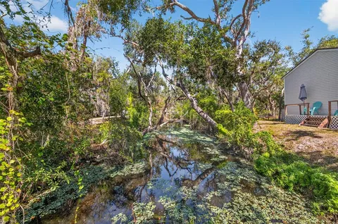 a close up of a tree in a yard