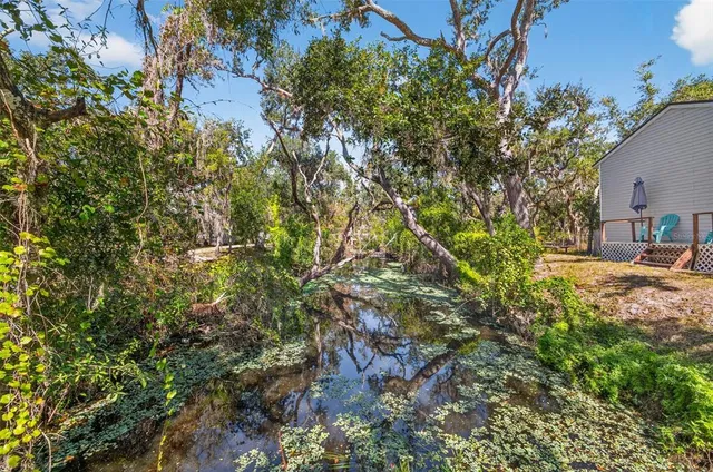 a close up of a tree in a yard