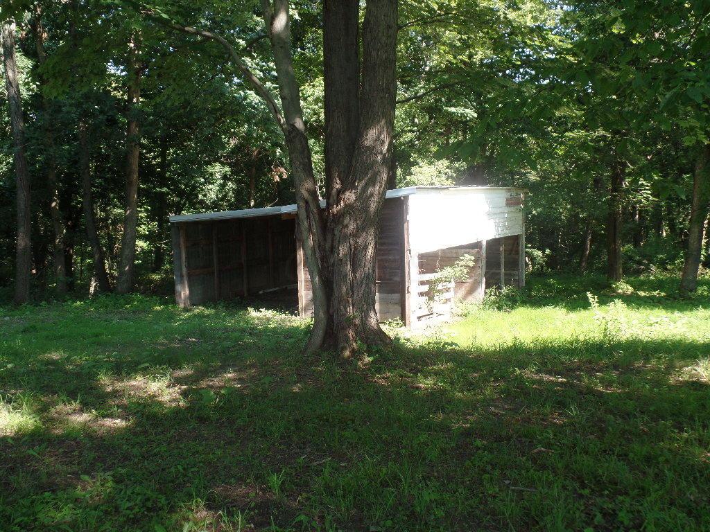 10545 Hewitt Road Nashport, OH 43830 - Photo 37 of 46