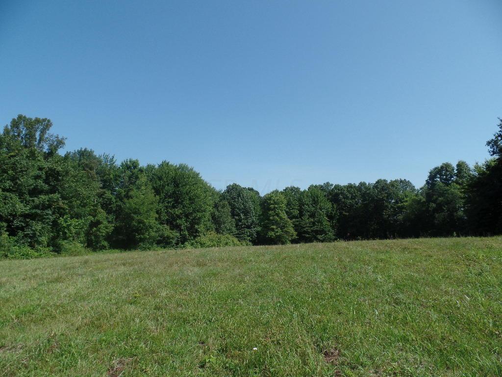 10545 Hewitt Road Nashport, OH 43830 - Photo 44 of 46