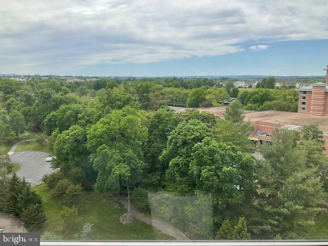 19355 Cypress Ridge Terrace, Unit 1122 Leesburg, VA 20176 - Photo 28 of 71 Lush greenery meets serene skyline.