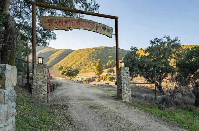 a view of a street with a tree in the background
