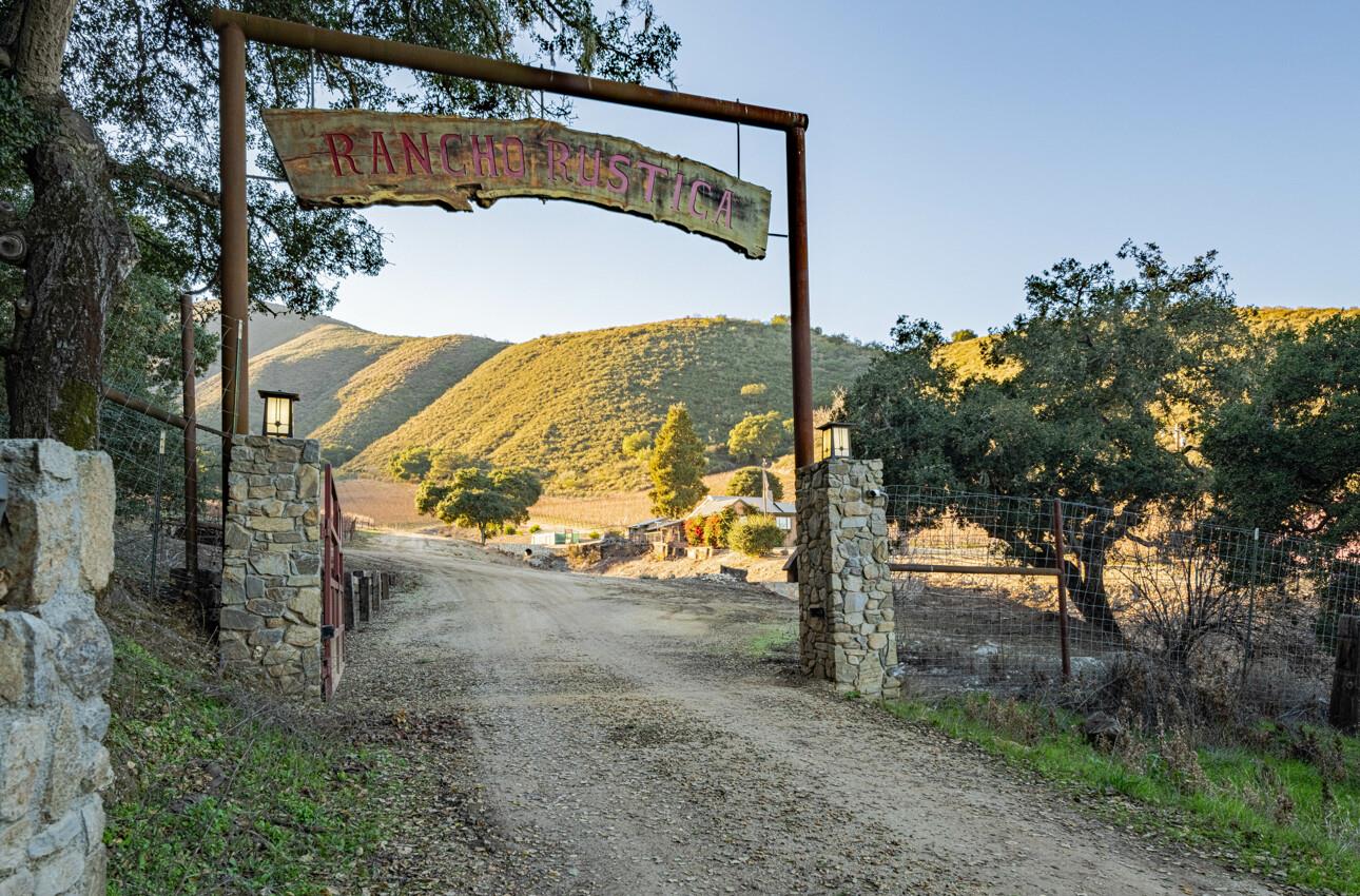 a view of a street with a tree in the background