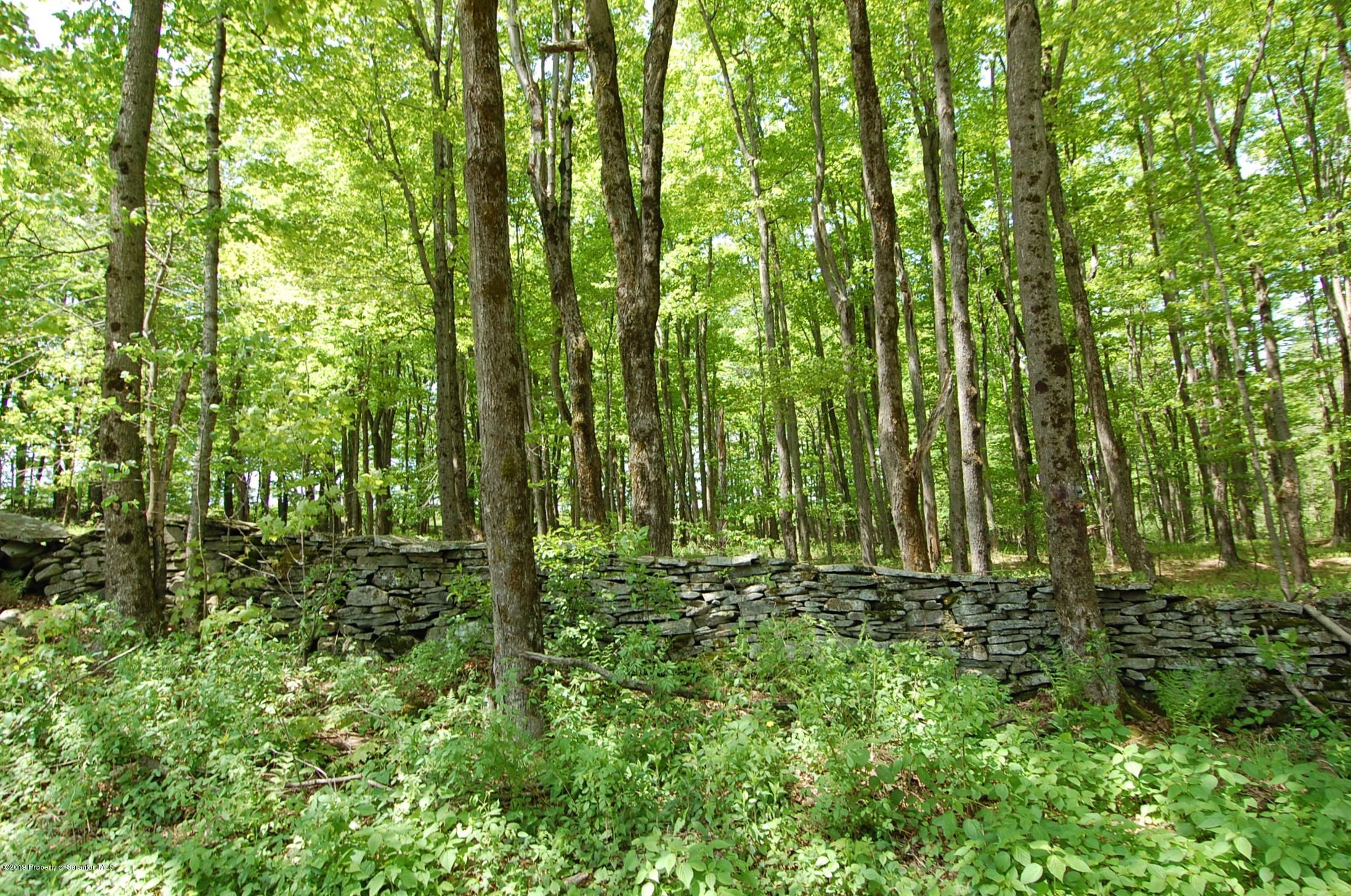 575 Dix Road Pleasant Mount, PA 18453 - Photo 11 of 11 Gallery Image 11