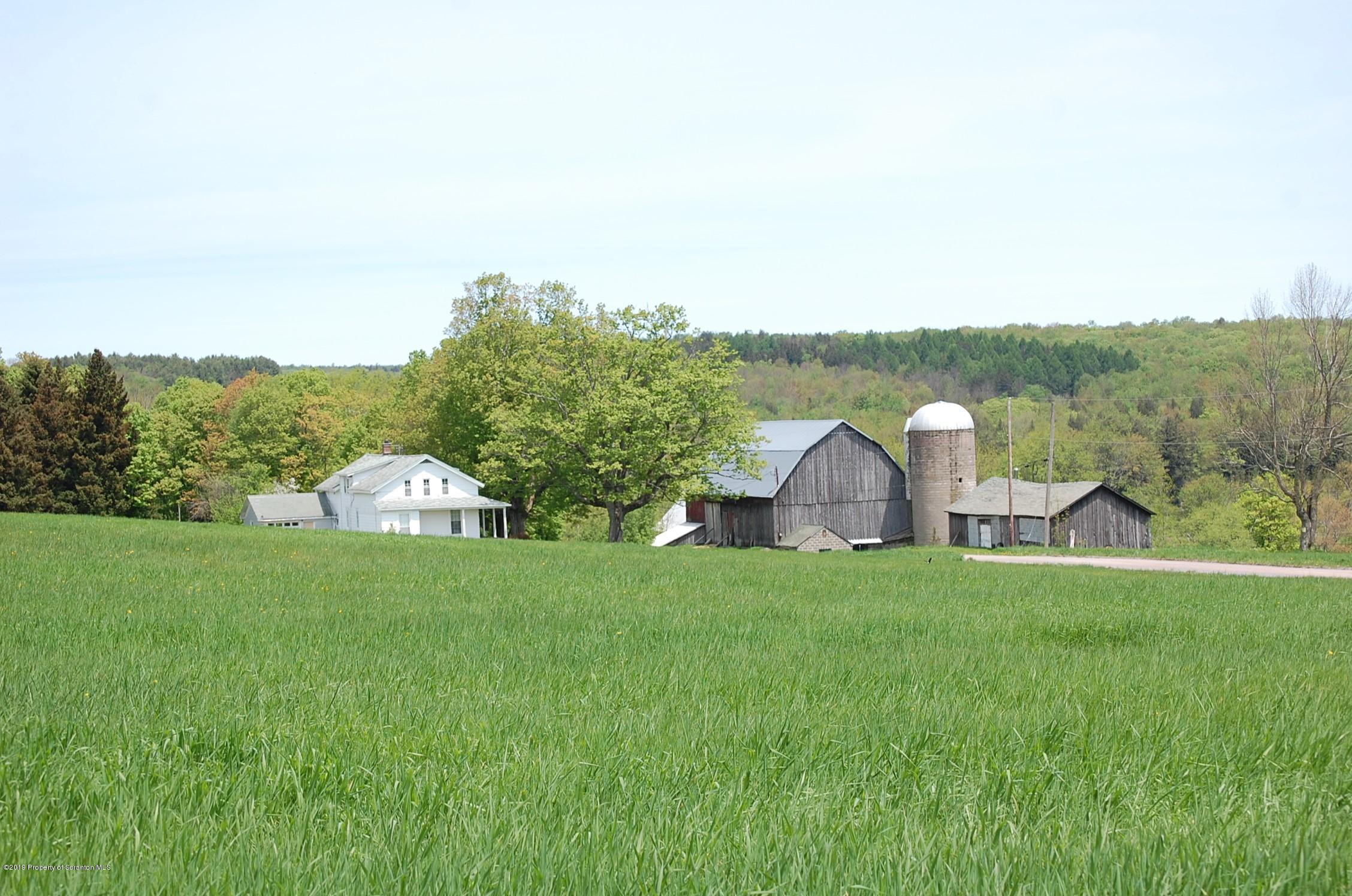 575 Dix Road Pleasant Mount, PA 18453 - Photo 4 of 11 Gallery Image 4