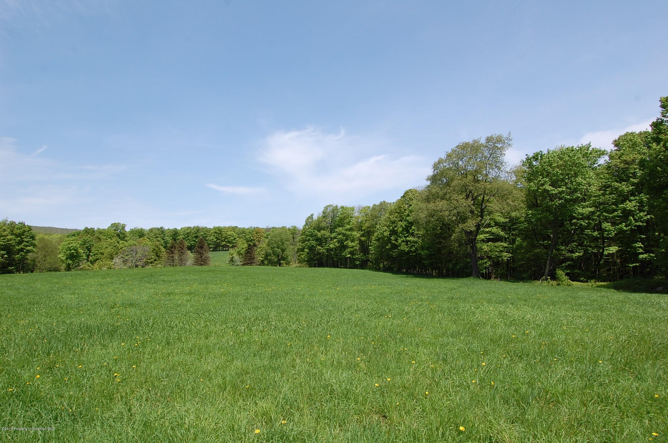 575 Dix Road Pleasant Mount, PA 18453 - Photo 5 of 11 Gallery Image 5